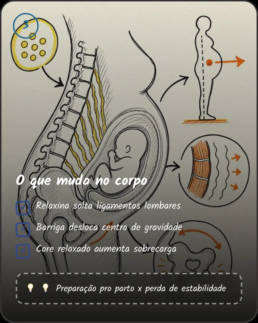 O que muda no corpo. Relaxina solta ligamentos lombares. Barriga desloca centro de gravidade. Core relaxado aumenta sobrecarga