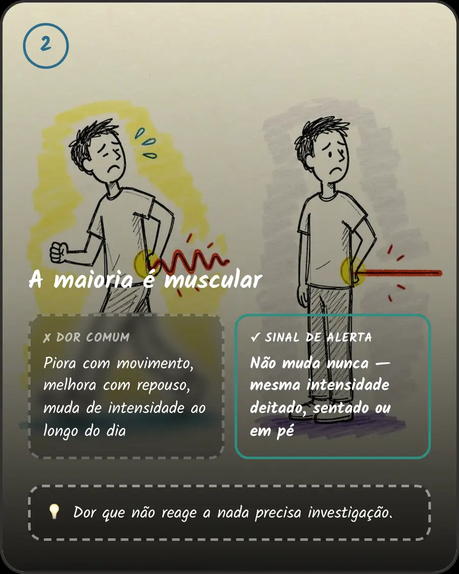 A maioria é muscular